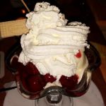 454 Vanilleeisbecher 454 Vanilleeisbecher